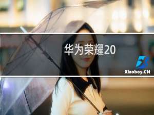 华为荣耀 (四核版)