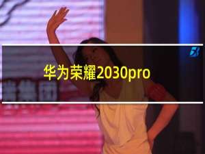 华为荣耀 30pro