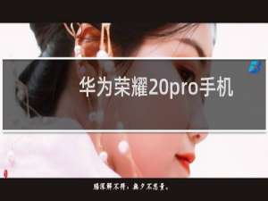 华为荣耀20pro手机壳