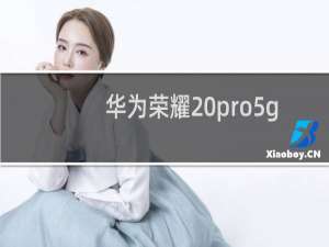 华为荣耀20pro5g