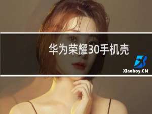 华为荣耀30手机壳