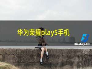 华为荣耀play5手机壳