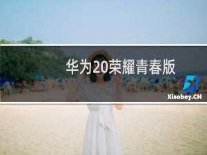 华为20荣耀青春版