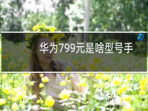 华为799元是啥型号手机