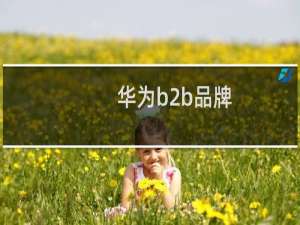 华为b2b品牌