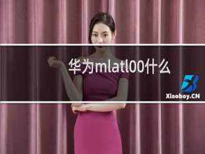 华为mlatl00什么手机