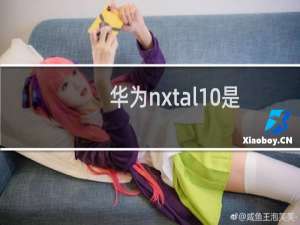 华为nxt-al10是什么手机