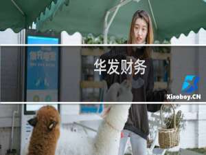 华发财务