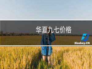 华夏九七价格