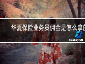 华夏保险业务员佣金是怎么拿的
