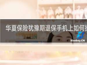 华夏保险犹豫期退保手机上如何操作