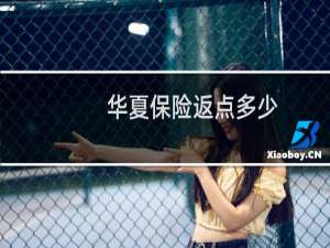 华夏保险返点多少
