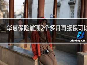 华夏保险逾期2个多月再续保可以吗