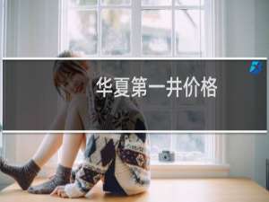 华夏第一井价格