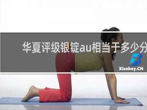 华夏评级银锭au相当于多少分