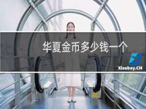 华夏金币多少钱一个