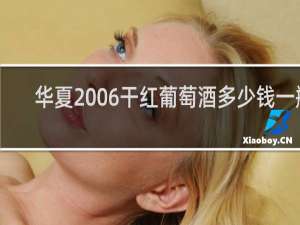 华夏2006干红葡萄酒多少钱一瓶