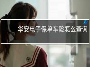 华安电子保单车险怎么查询