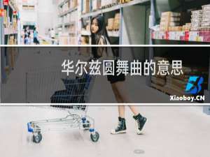 华尔兹圆舞曲的意思