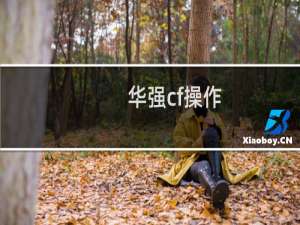 华强cf操作