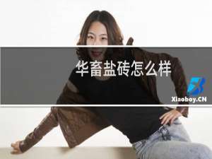 华畜盐砖怎么样