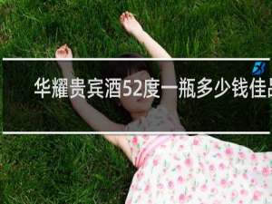 华耀贵宾酒52度一瓶多少钱佳品