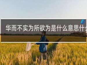 华而不实为所欲为是什么意思什么梗