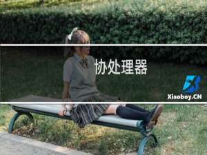 协处理器