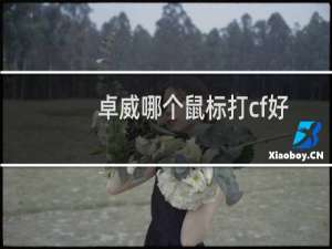 卓威哪个鼠标打cf好