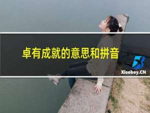 卓有成就的意思和拼音是什么（卓有成就的意思）