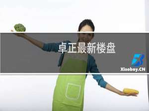 卓正最新楼盘