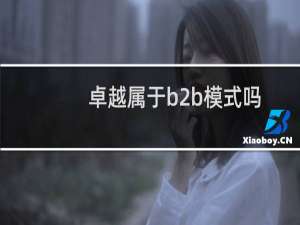 卓越属于b2b模式吗