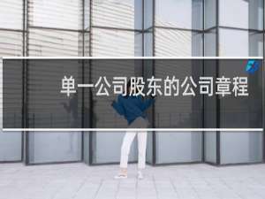 单一公司股东的公司章程
