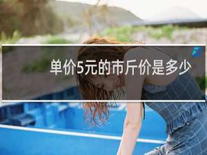 单价5元的市斤价是多少