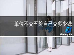 单位不交五险自己交多少钱