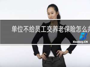 单位不给员工交养老保险怎么办