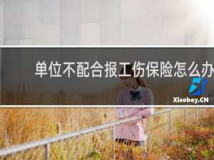 单位不配合报工伤保险怎么办