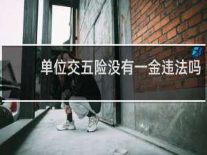 单位交五险没有一金违法吗