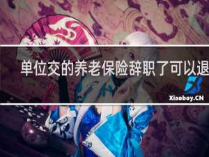 单位交的养老保险辞职了可以退吗