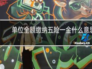 单位全额缴纳五险一金什么意思