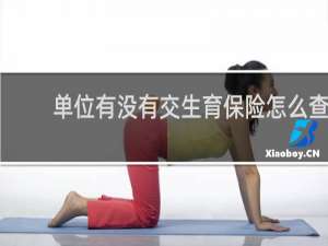 单位有没有交生育保险怎么查