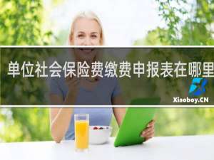 单位社会保险费缴费申报表在哪里打印