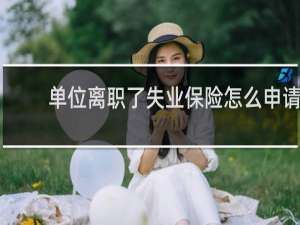 单位离职了失业保险怎么申请