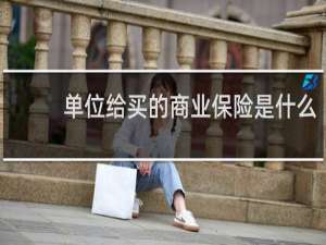 单位给买的商业保险是什么