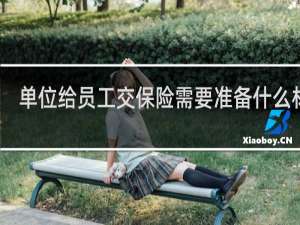 单位给员工交保险需要准备什么材料