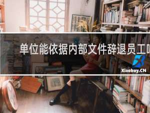 单位能依据内部文件辞退员工吗