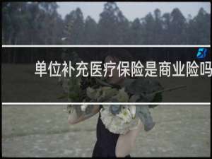 单位补充医疗保险是商业险吗