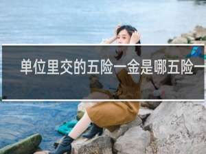 单位里交的五险一金是哪五险一金