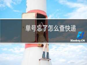 单号忘了怎么查快递