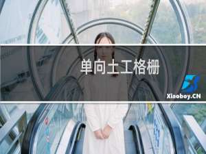单向土工格栅